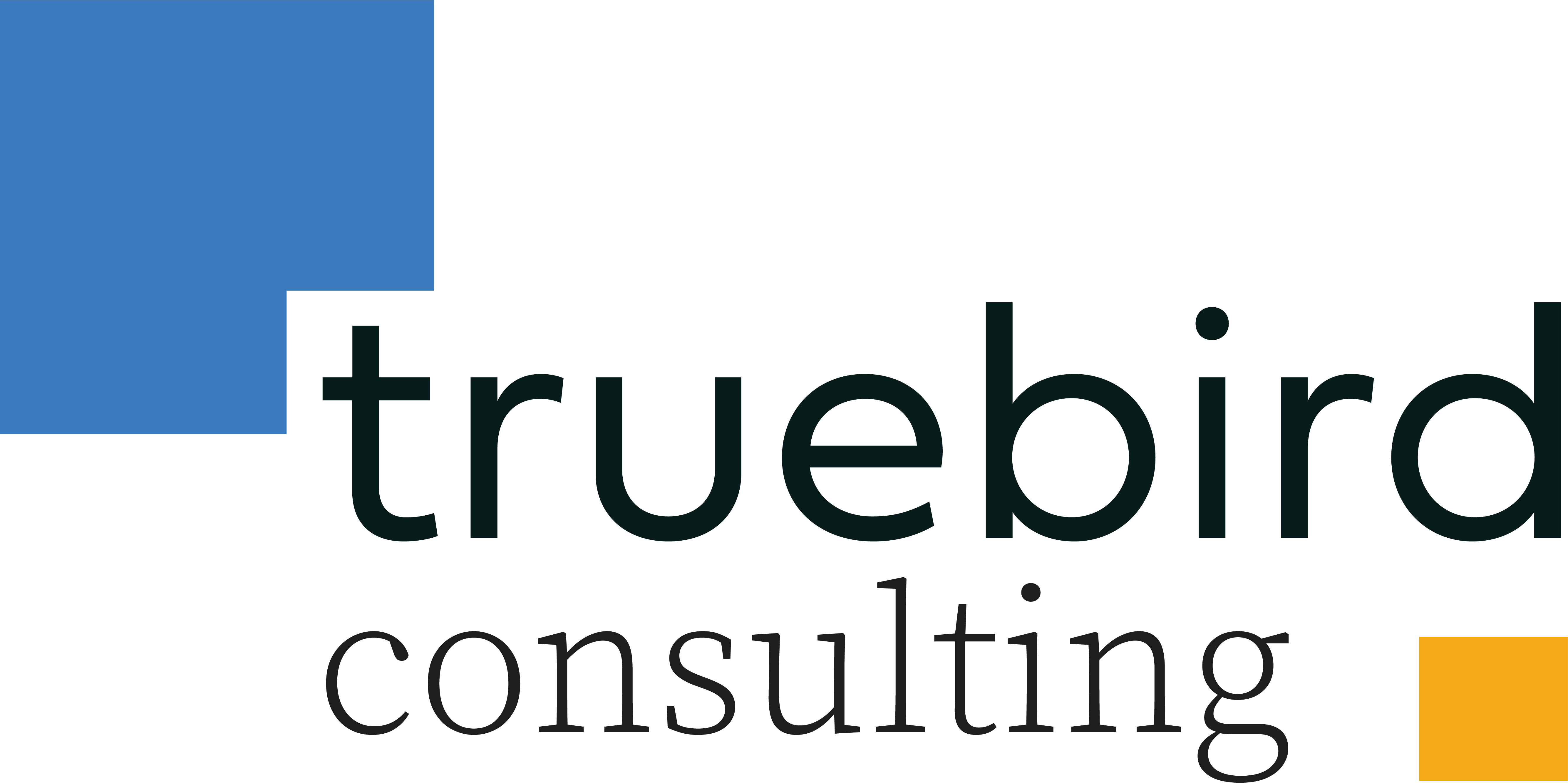 truebird consulting | Thomas R. Vogel